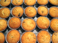 muffins