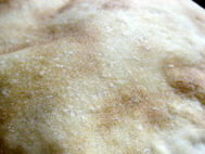 pita