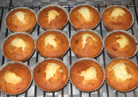 muffins muffins