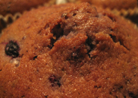 blåbärsmuffin blåbärsmuffin