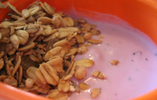 danio danio