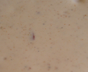tacodressing tacodressing