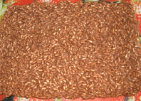 julgodis
